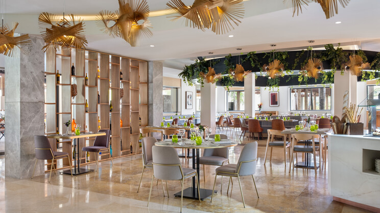 Dreams Royal Beach Punta Cana